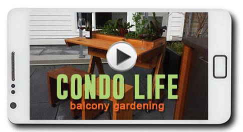 Condo Gardening